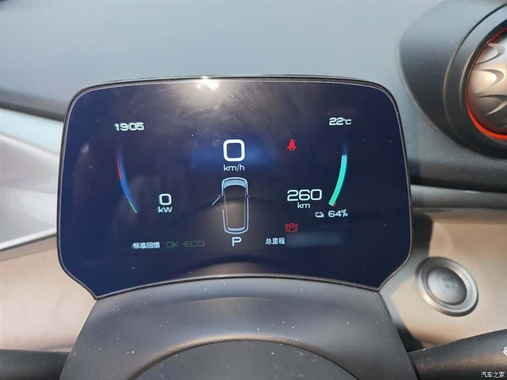 BYD Dolphin, 2021 4