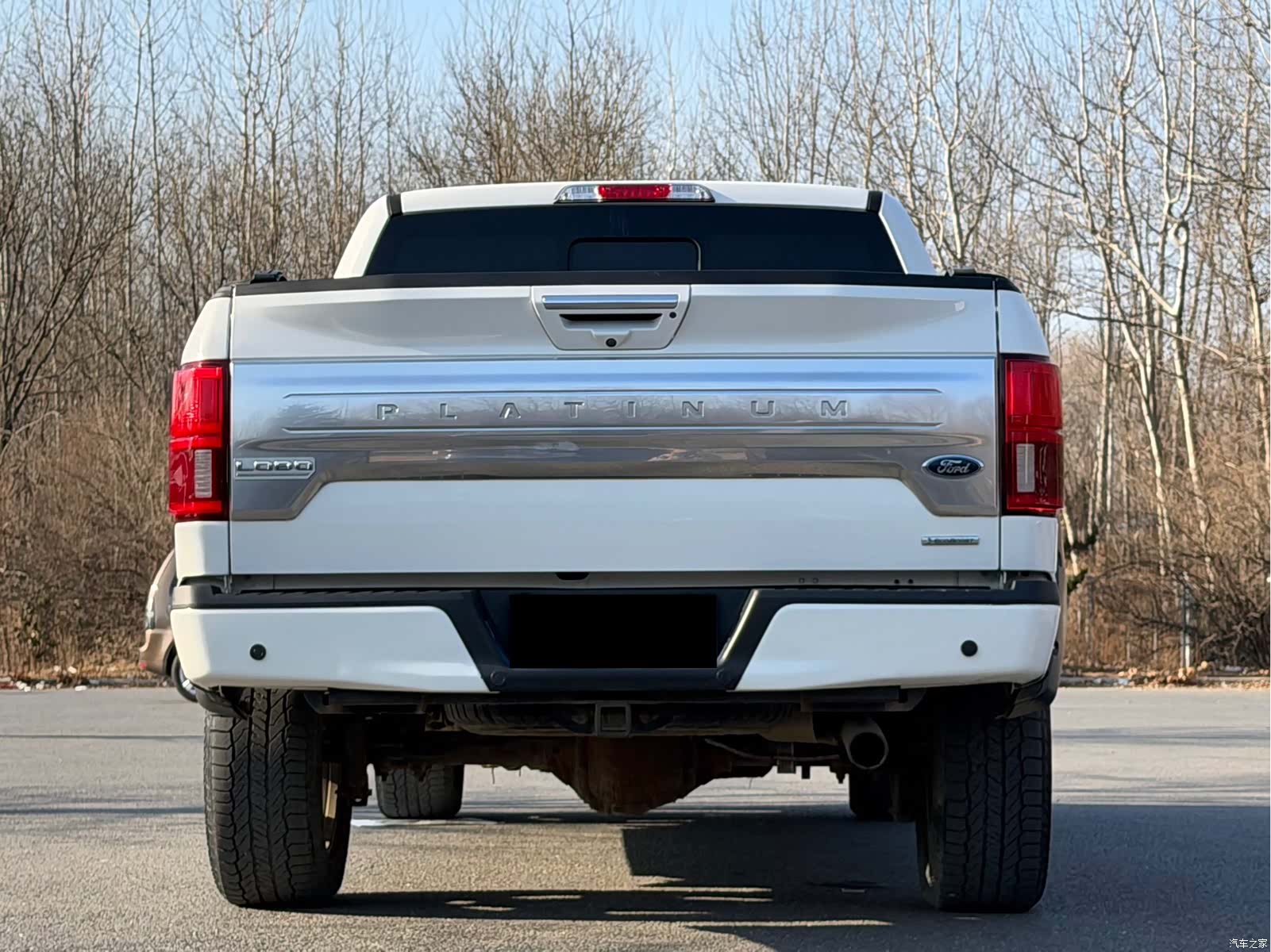 Ford F-150, 2020 все фото