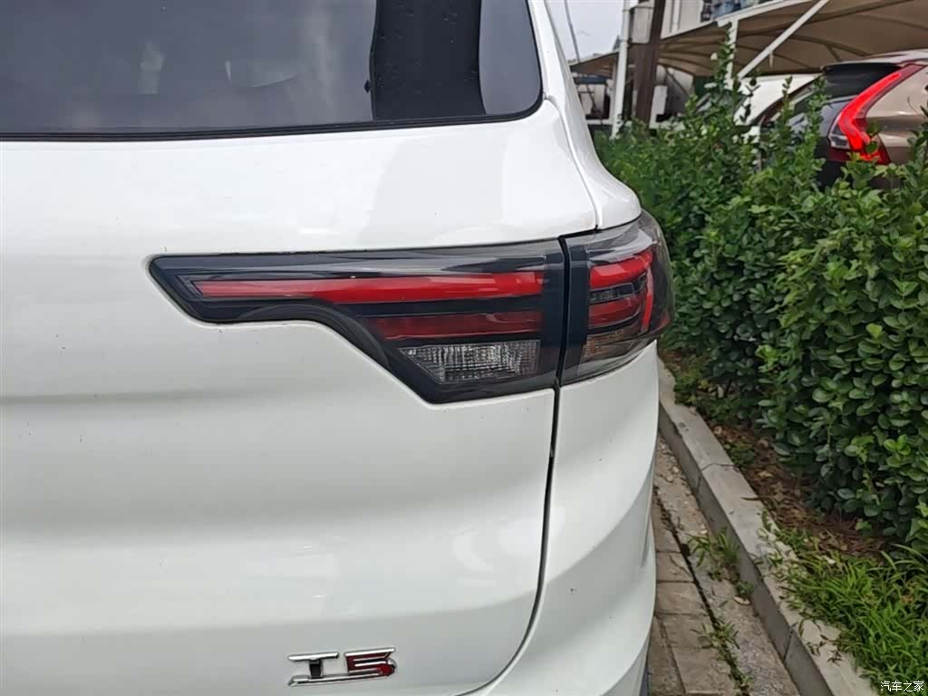 Bisu T5, 2017 8