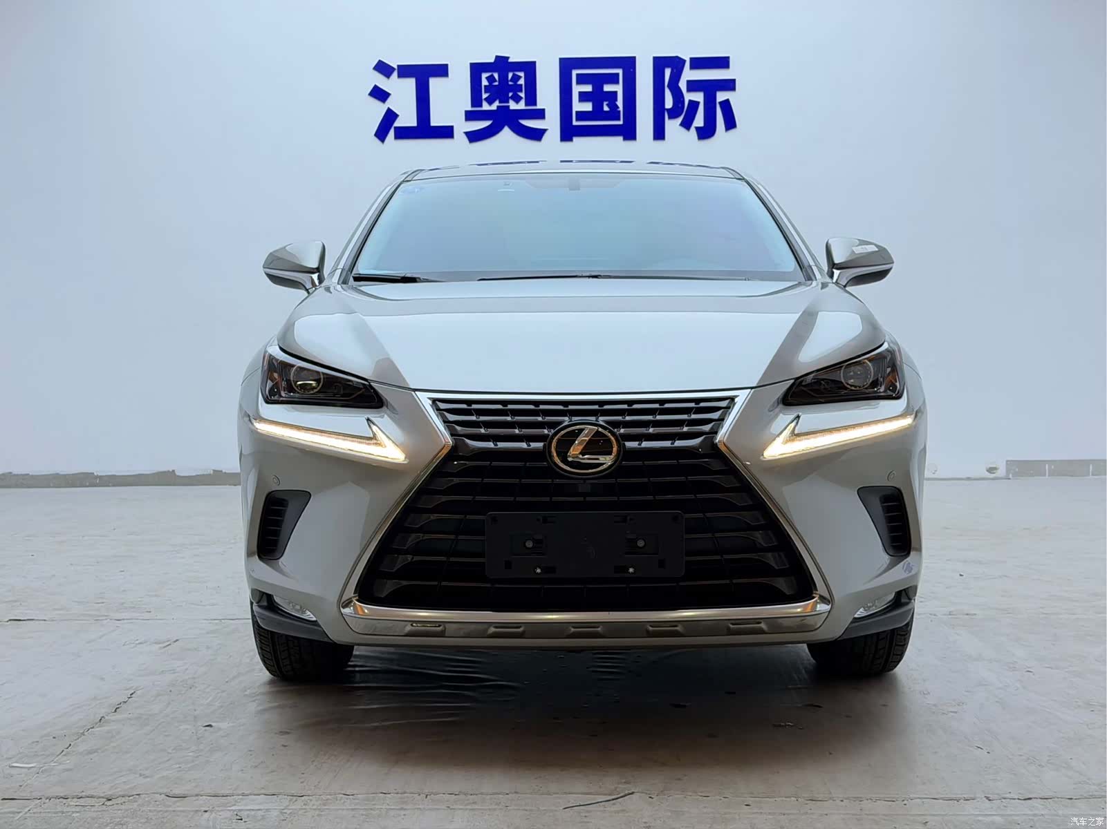 Lexus NX, 2021 2