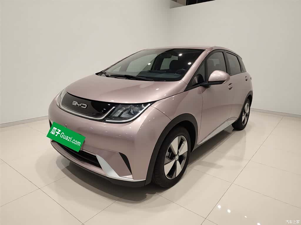 BYD Dolphin, 2023 1