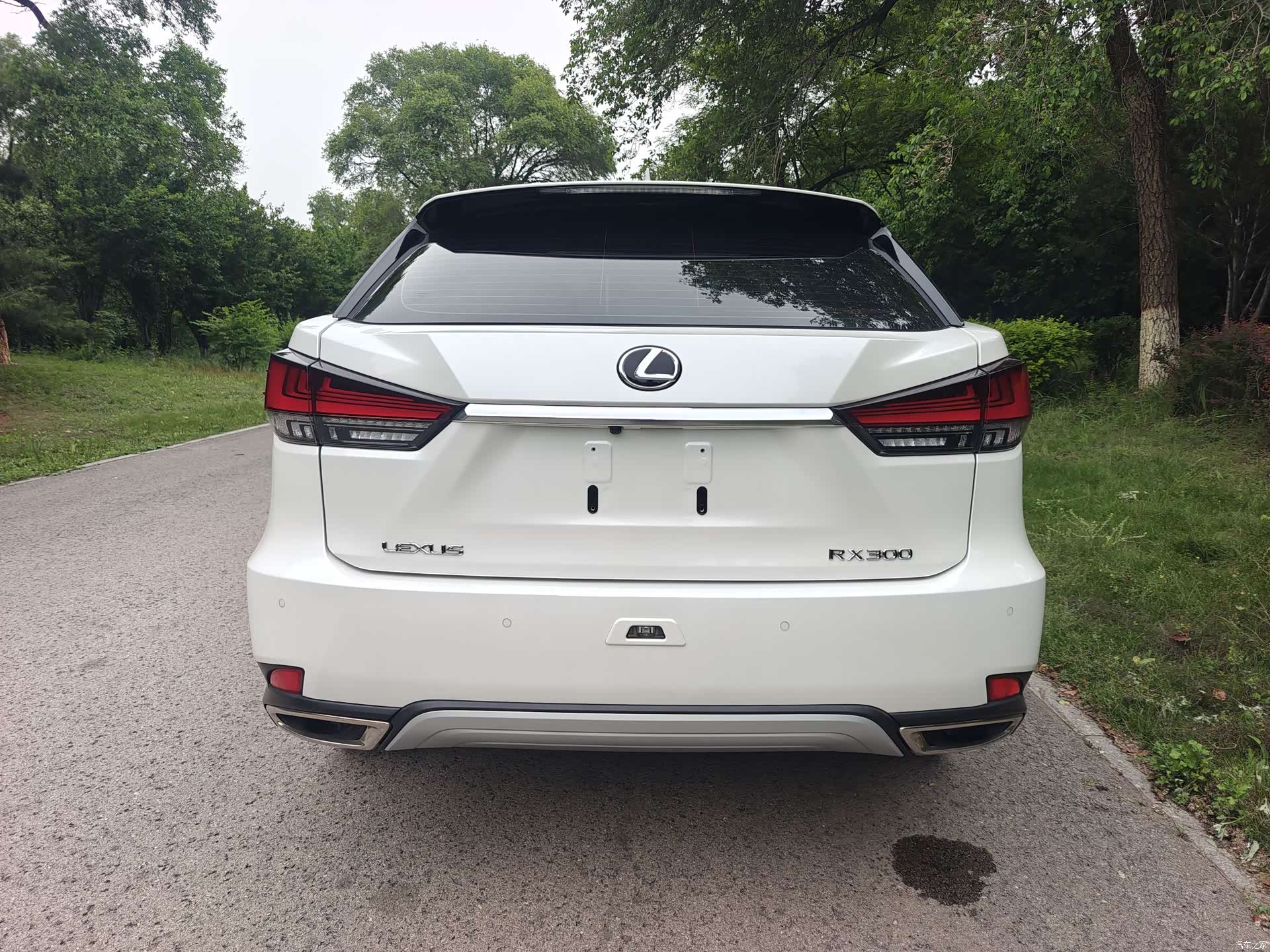 Lexus RX, 2020 все фото