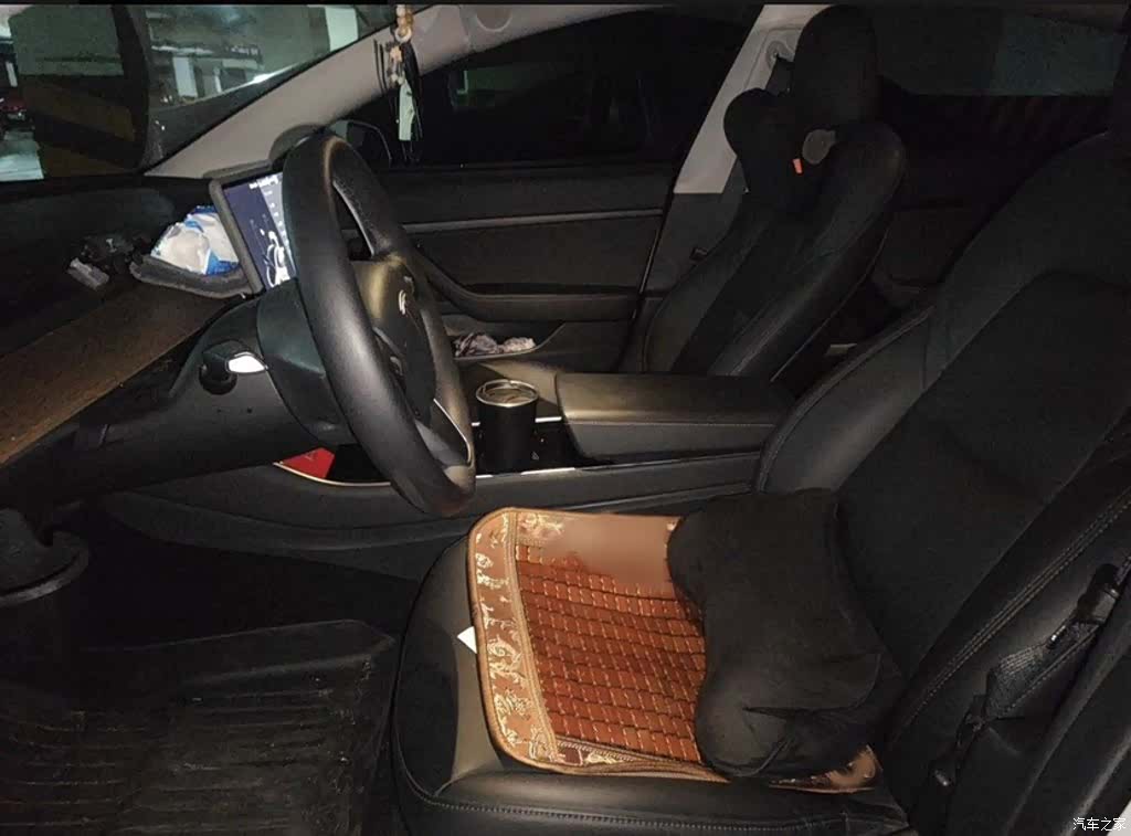 Tesla Model 3, 2020 13
