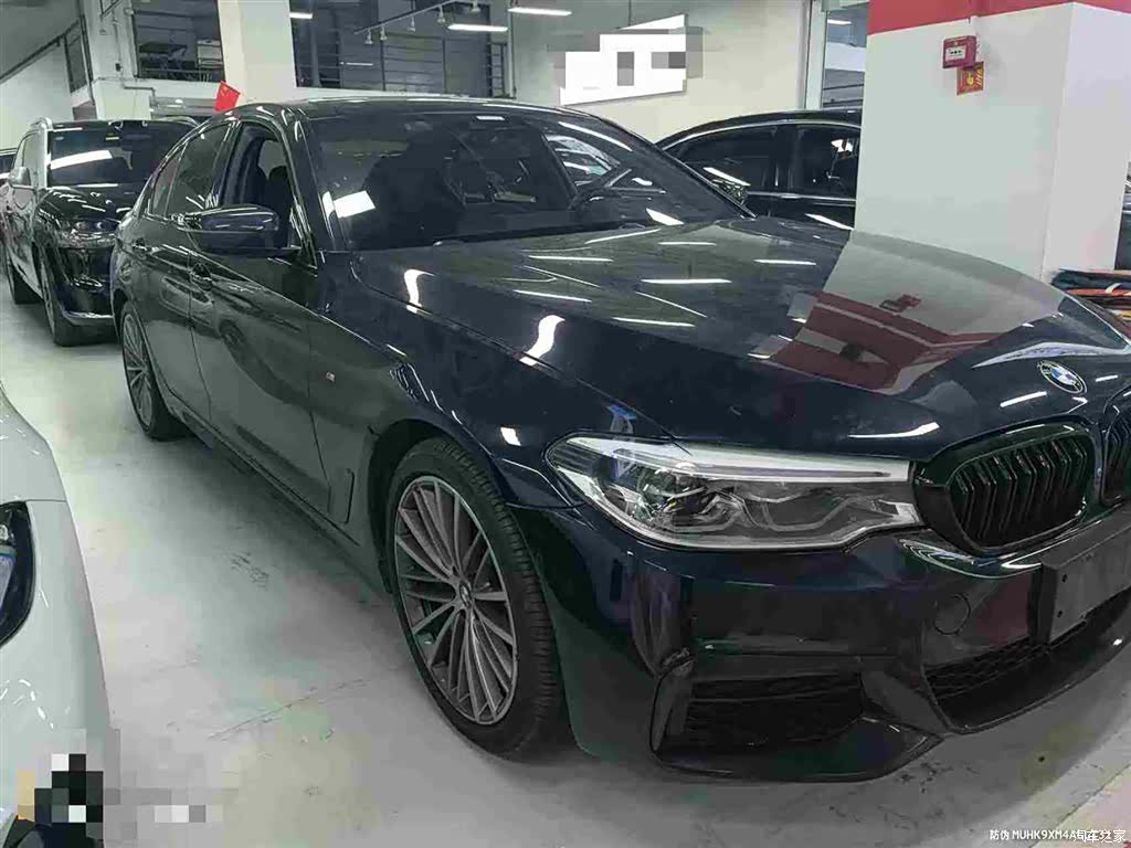 BMW 5 Series, 2020 3