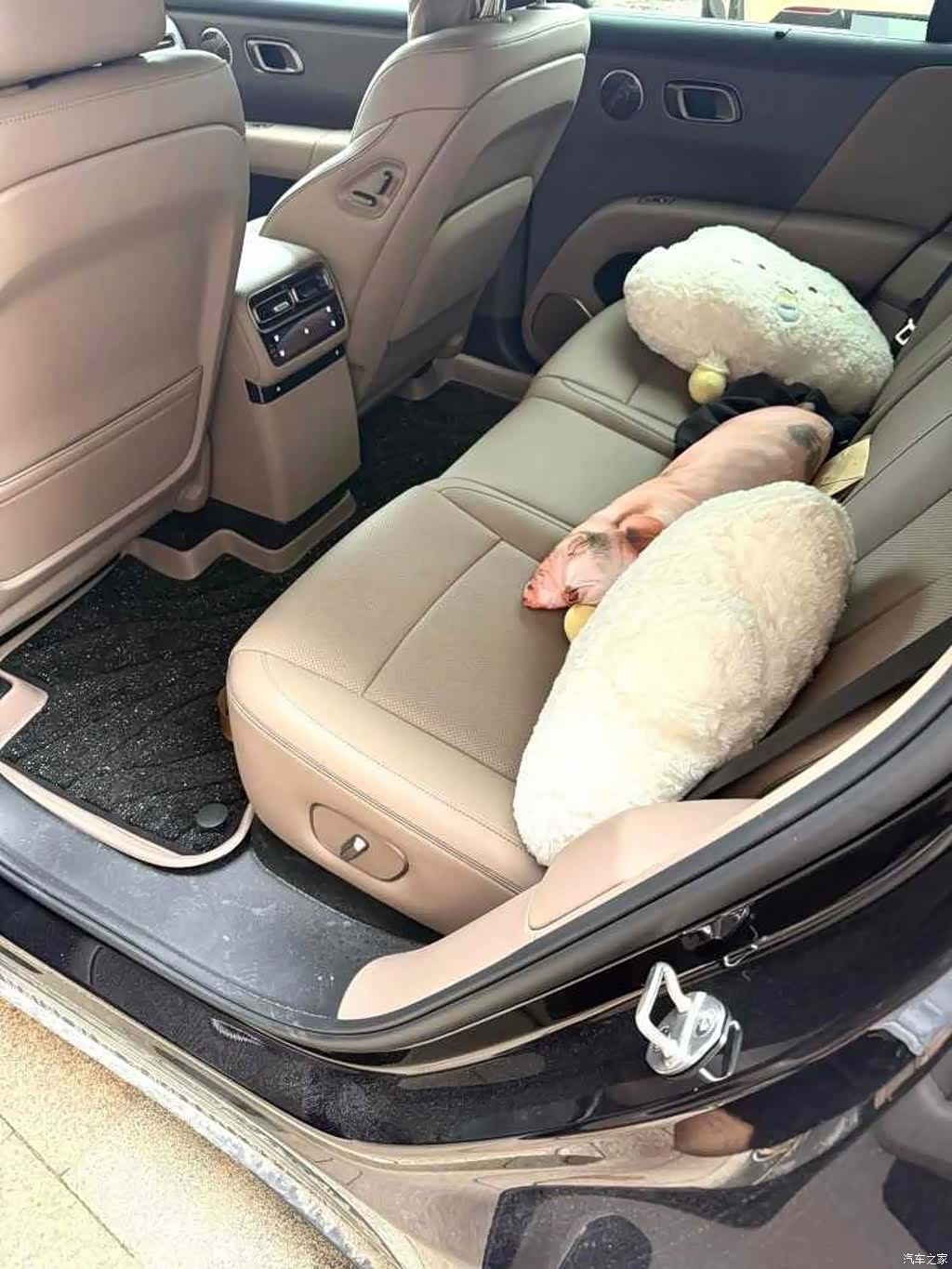 Li Auto i6, 2026 все фото