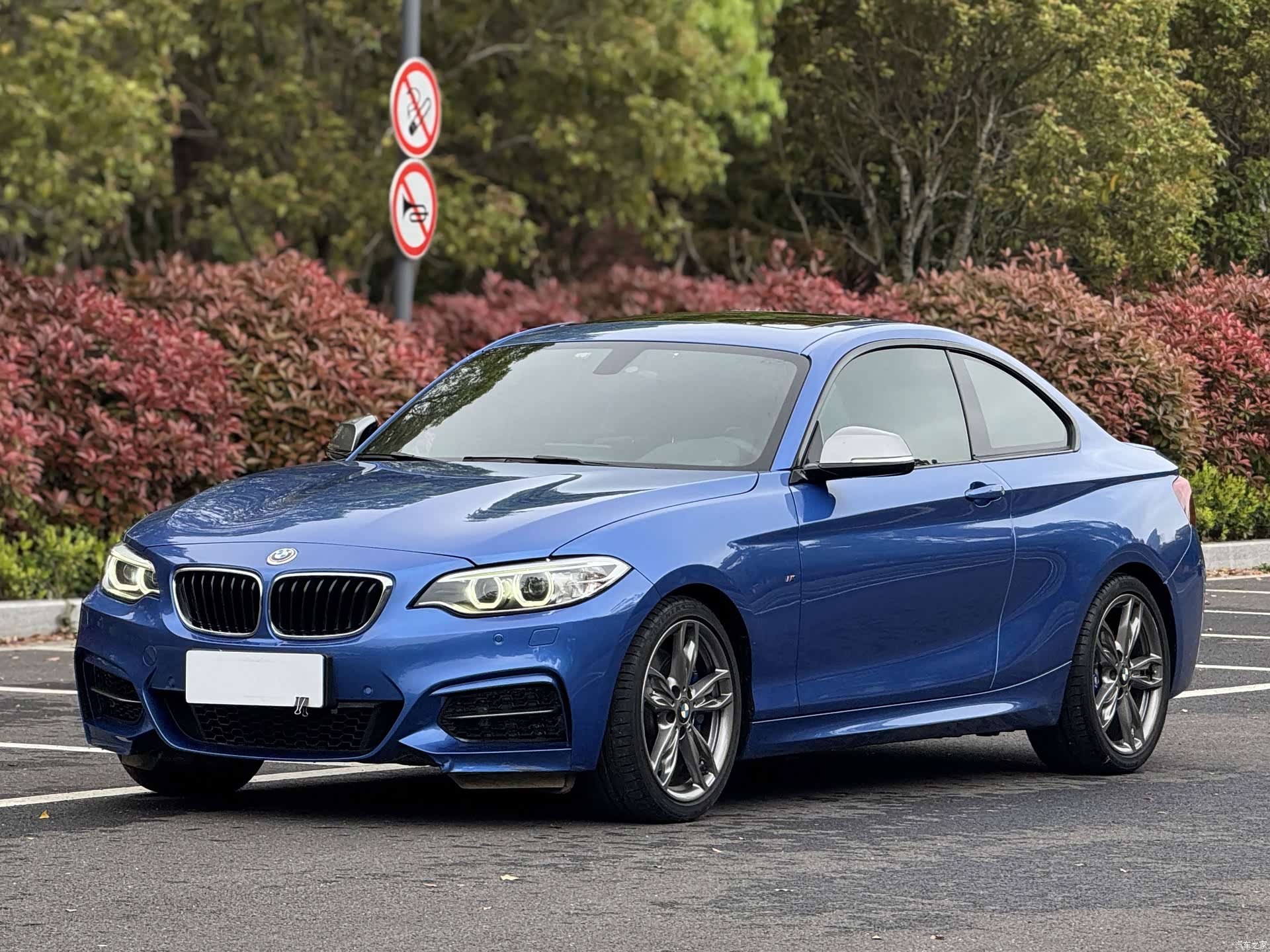 BMW 2 Series, 2016 1