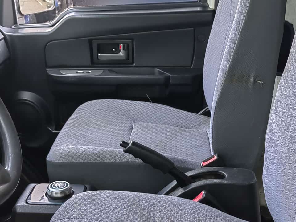 Golden Dragon Sea lion