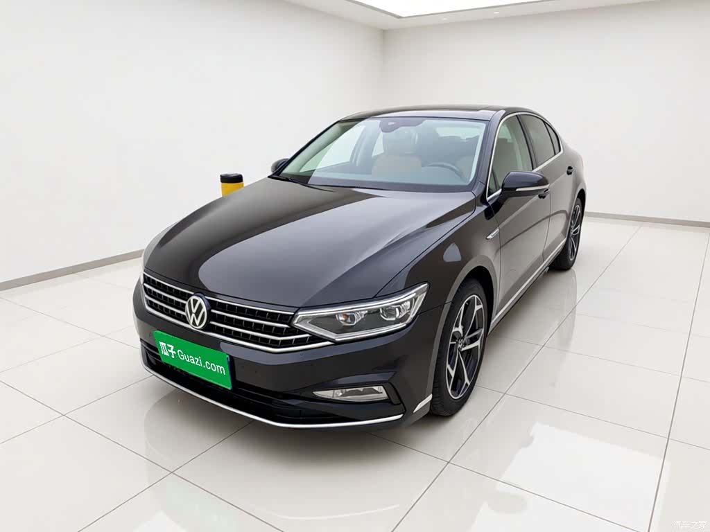 Volkswagen Magotan, 2024 1