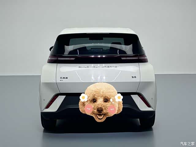 BYD Seagull, 2024 14