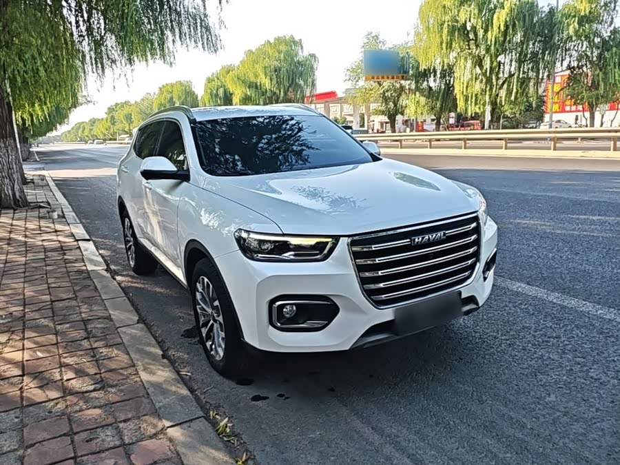 Haval H6 2020, фото 4