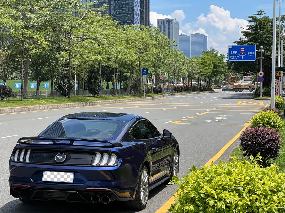 Ford Mustang Ford Mustang