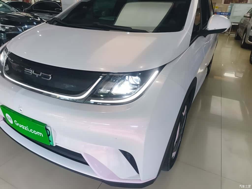 BYD Dolphin, 2022 24