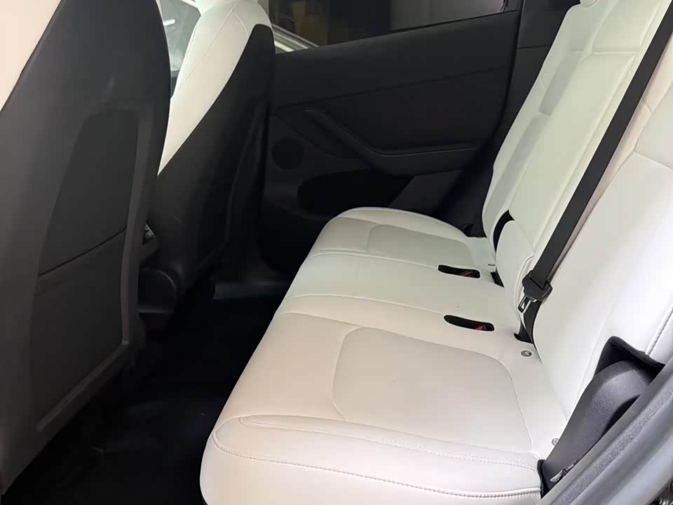 Tesla Model Y Tesla Model Y