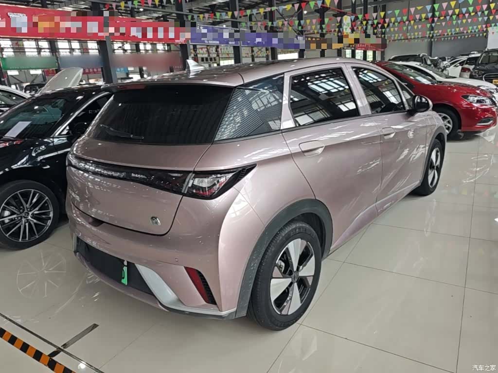BYD Dolphin, 2023 7