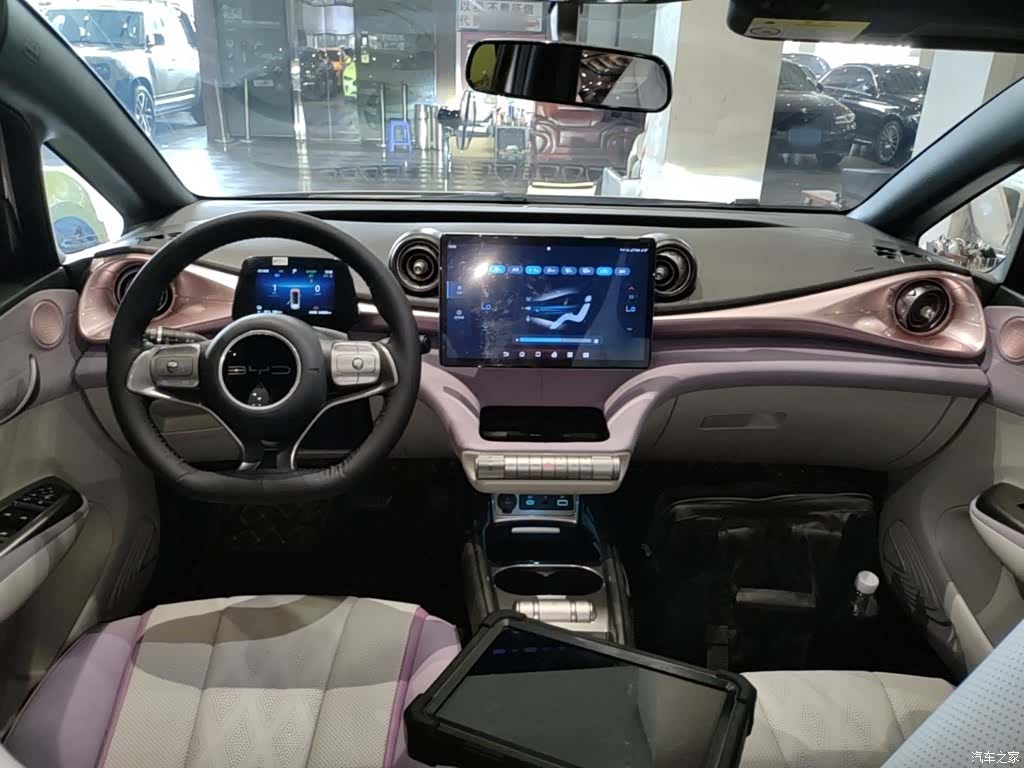 BYD Dolphin, 2024 10