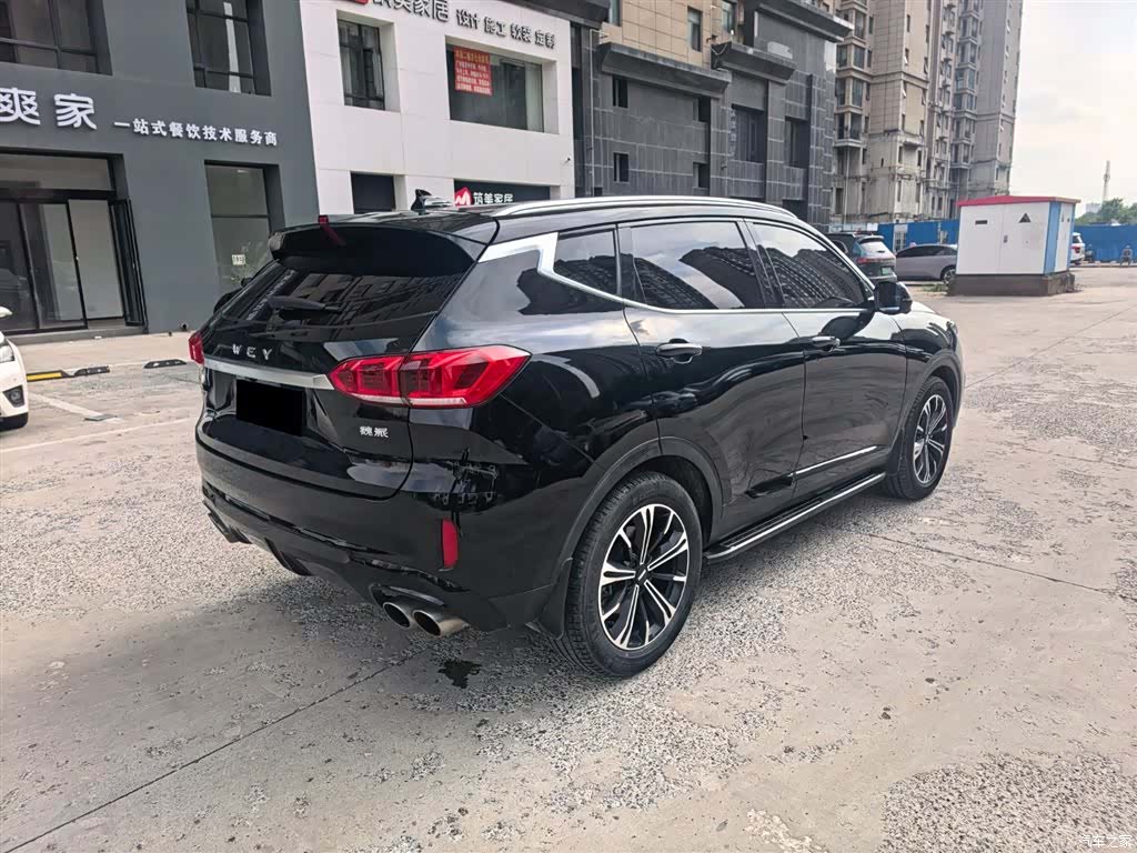 WEY VV6, 2020 15