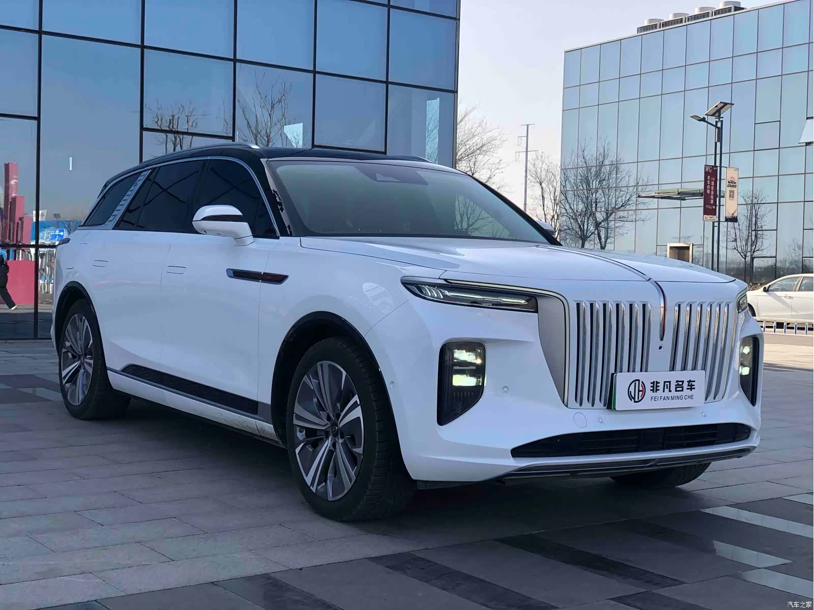 Hongqi E-HS9, 2021 3