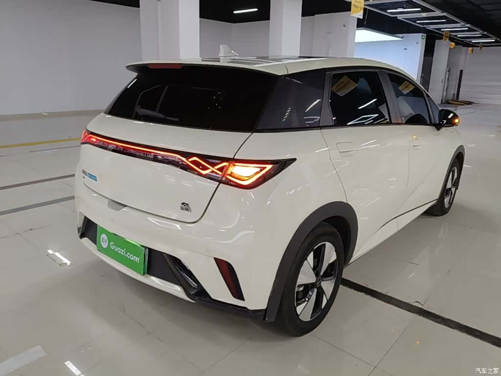 BYD Dolphin, 2024 7