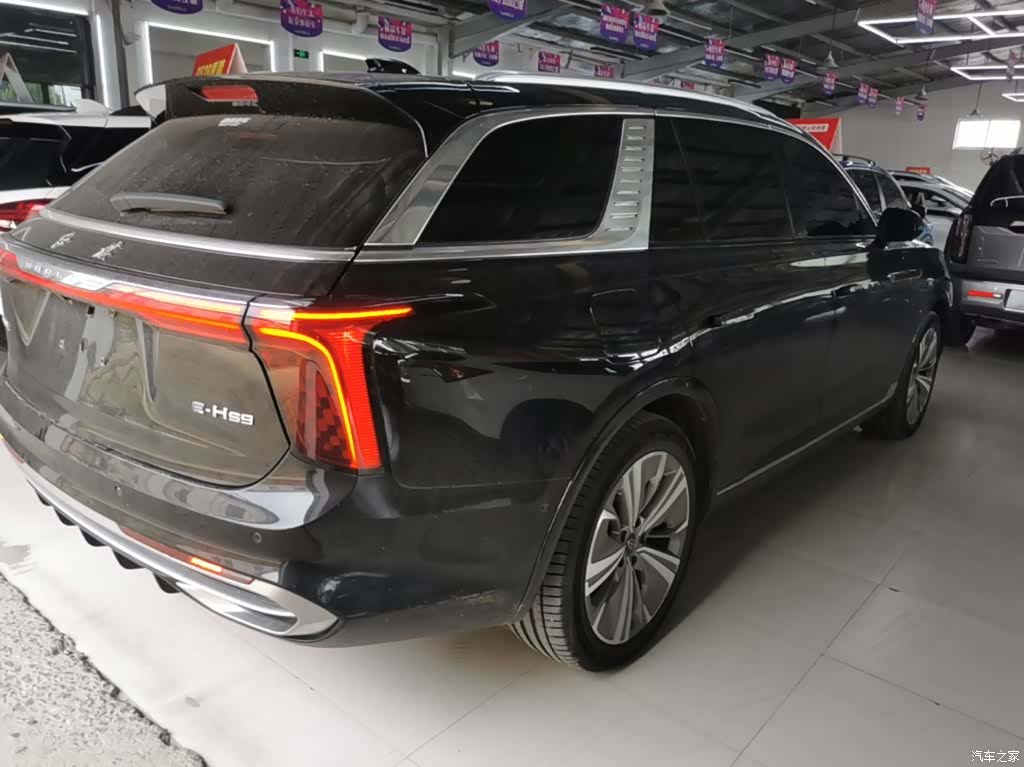 Hongqi E-HS9, 2023 7
