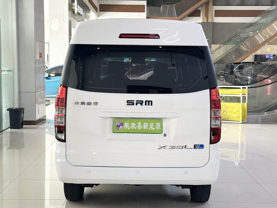 Shineray  Sea Lion EV