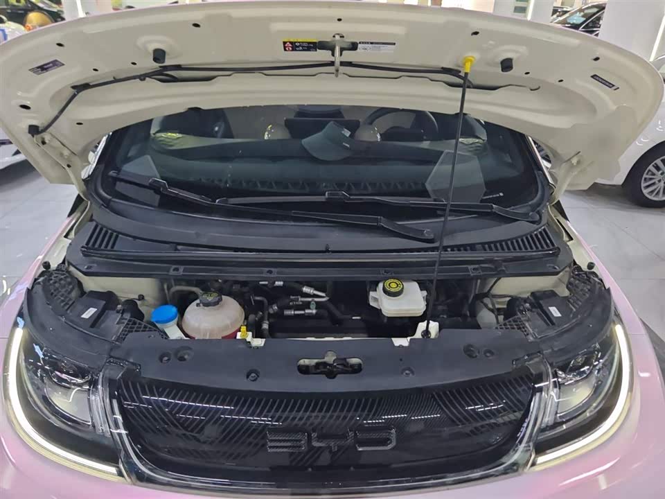 BYD dolphin