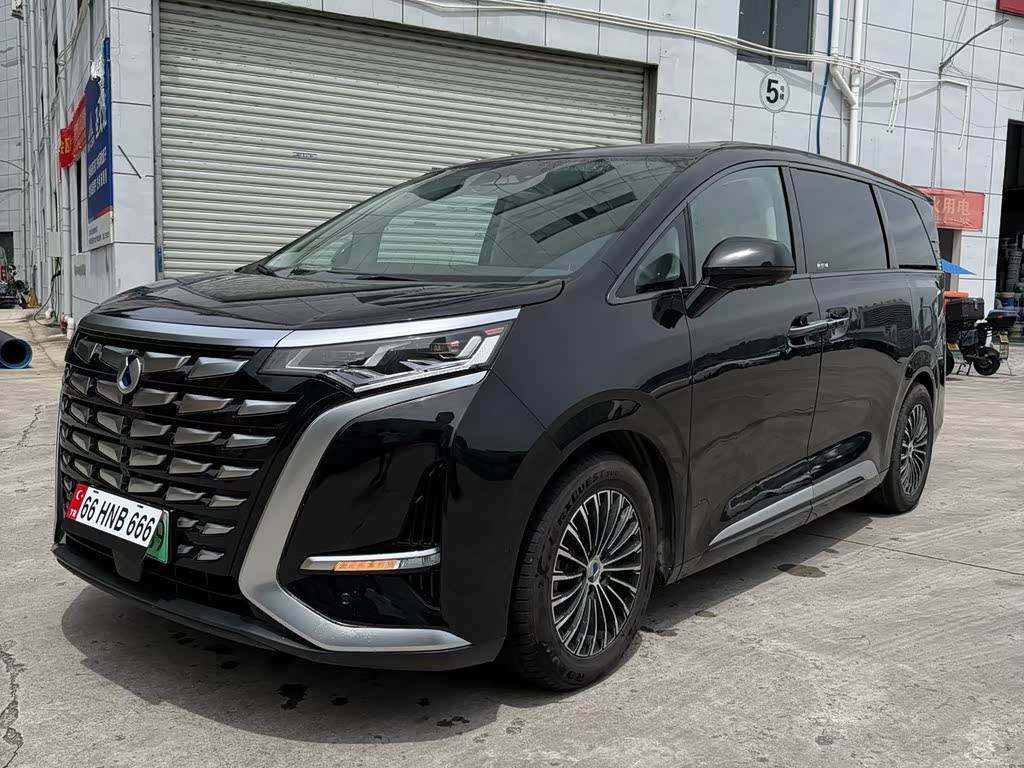 Denza D9