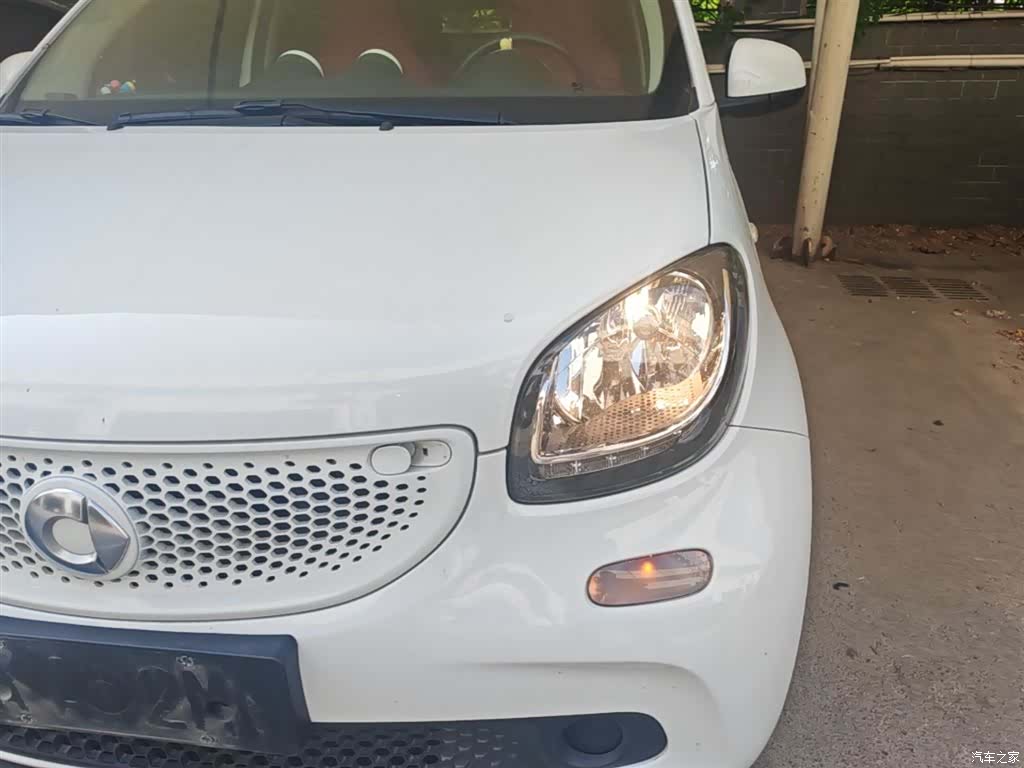 Smart Forfour, 2018 24