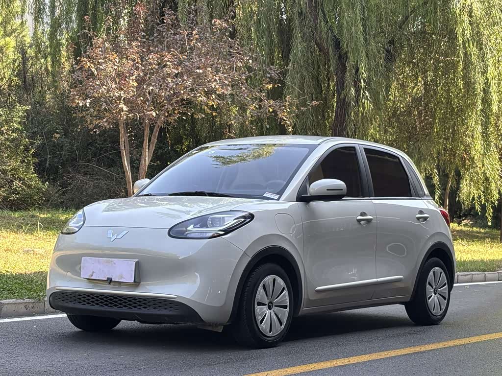 Wuling Binguo