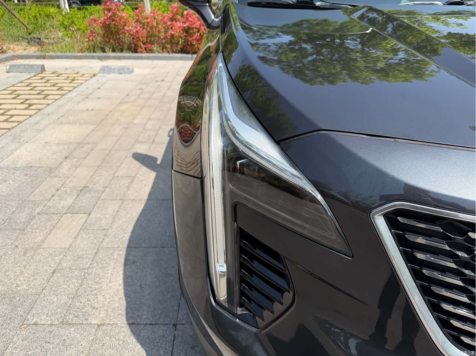Cadillac XT4, 2019 все фото