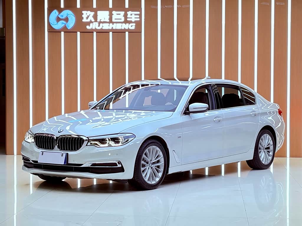 BMW 5 Series 5 2020 530Li Lead Luxury