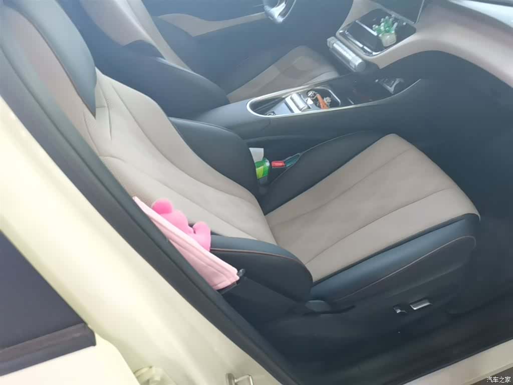 BYD Dolphin, 2024 25