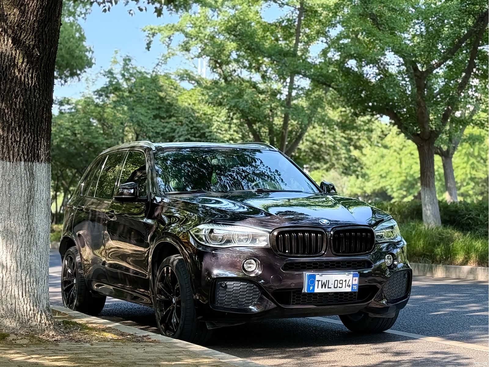 BMW X5, 2018 3