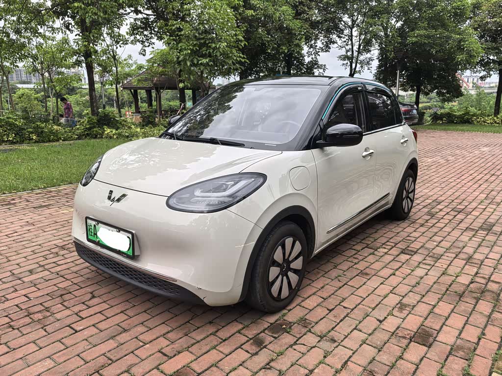 Wuling Binguo
