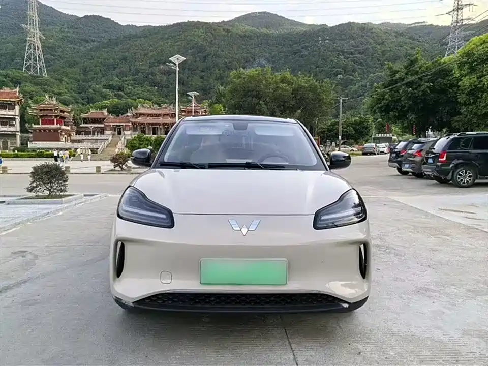 Wuling Wuling Bingguo PLUS