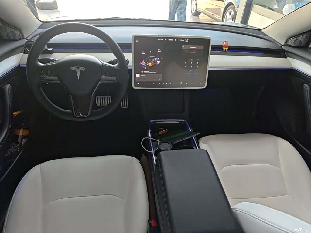 Tesla Model 3, 2021 10