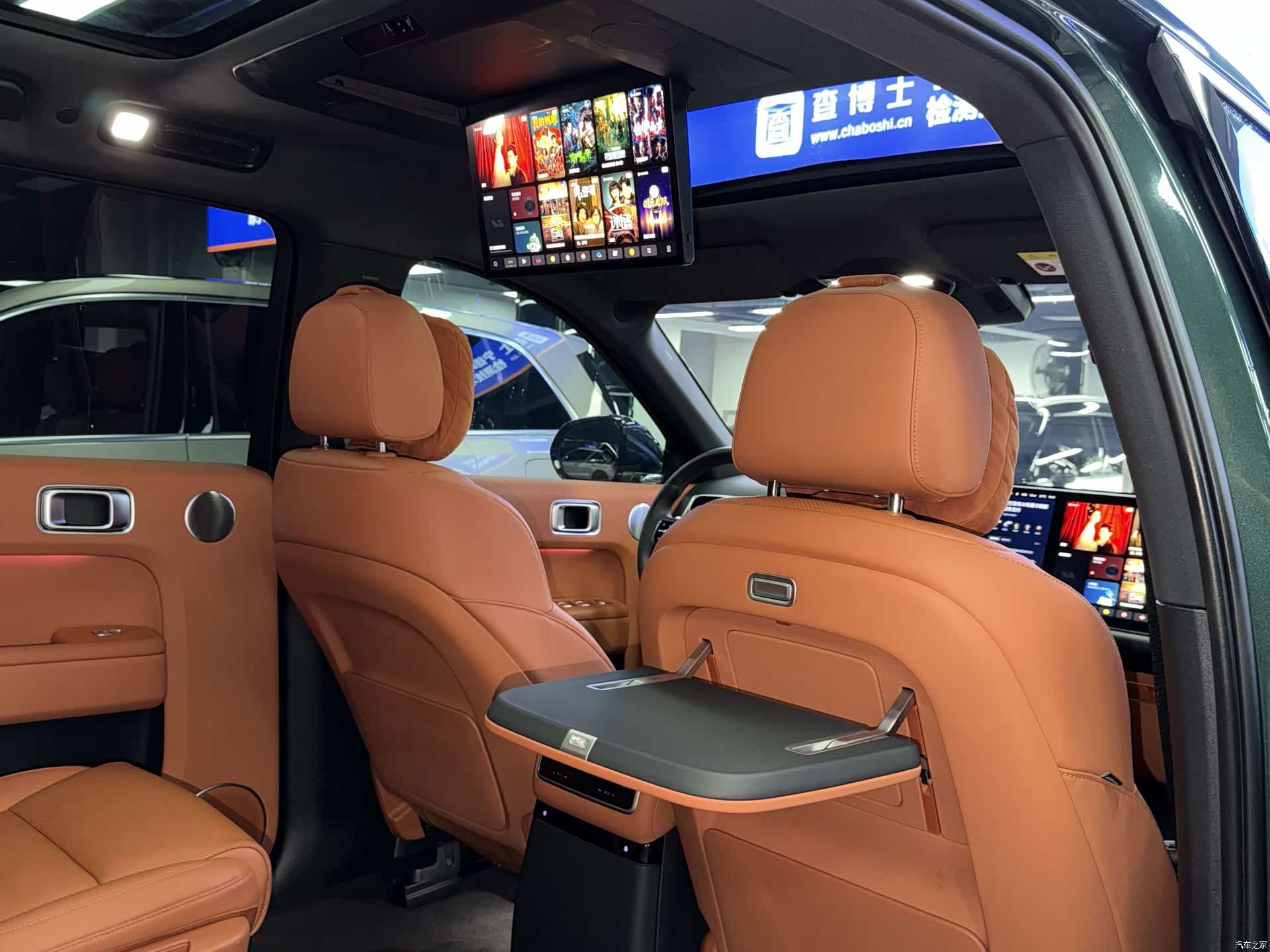 Li Auto L9, 2023 16