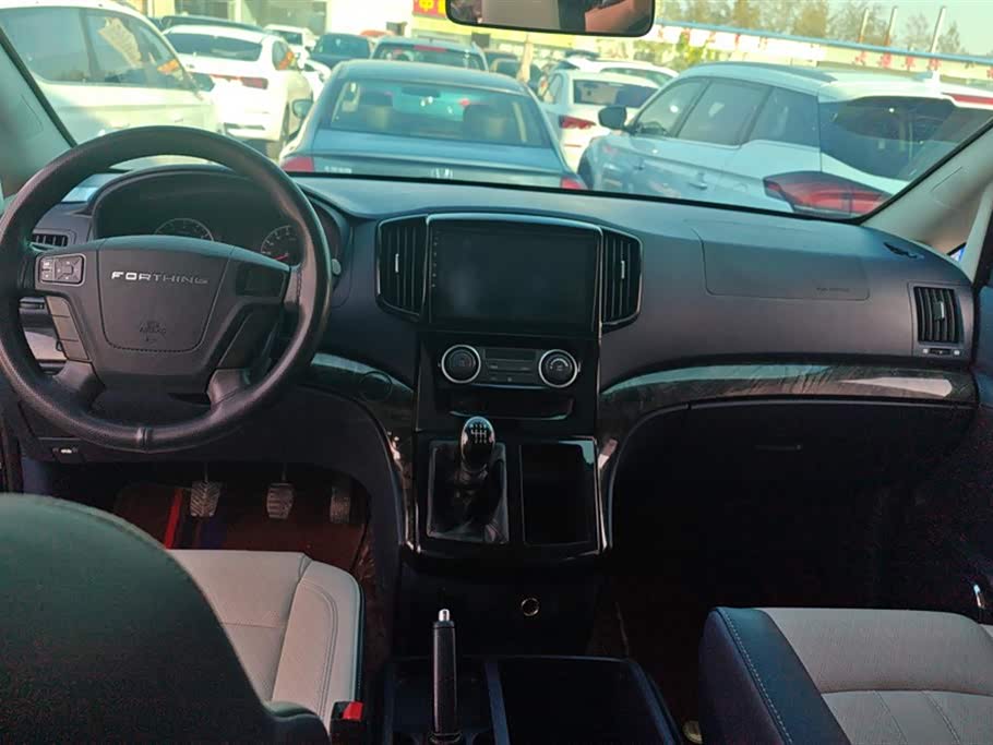 Forthing Lingzhi PLUS