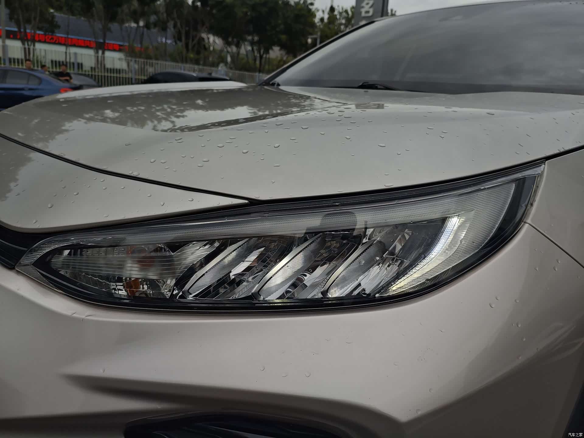 Toyota Wildlander, 2022 9
