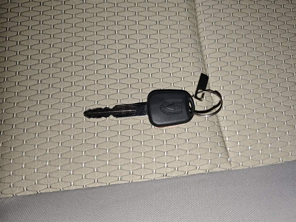 Jinbei Little Sea Lion X30