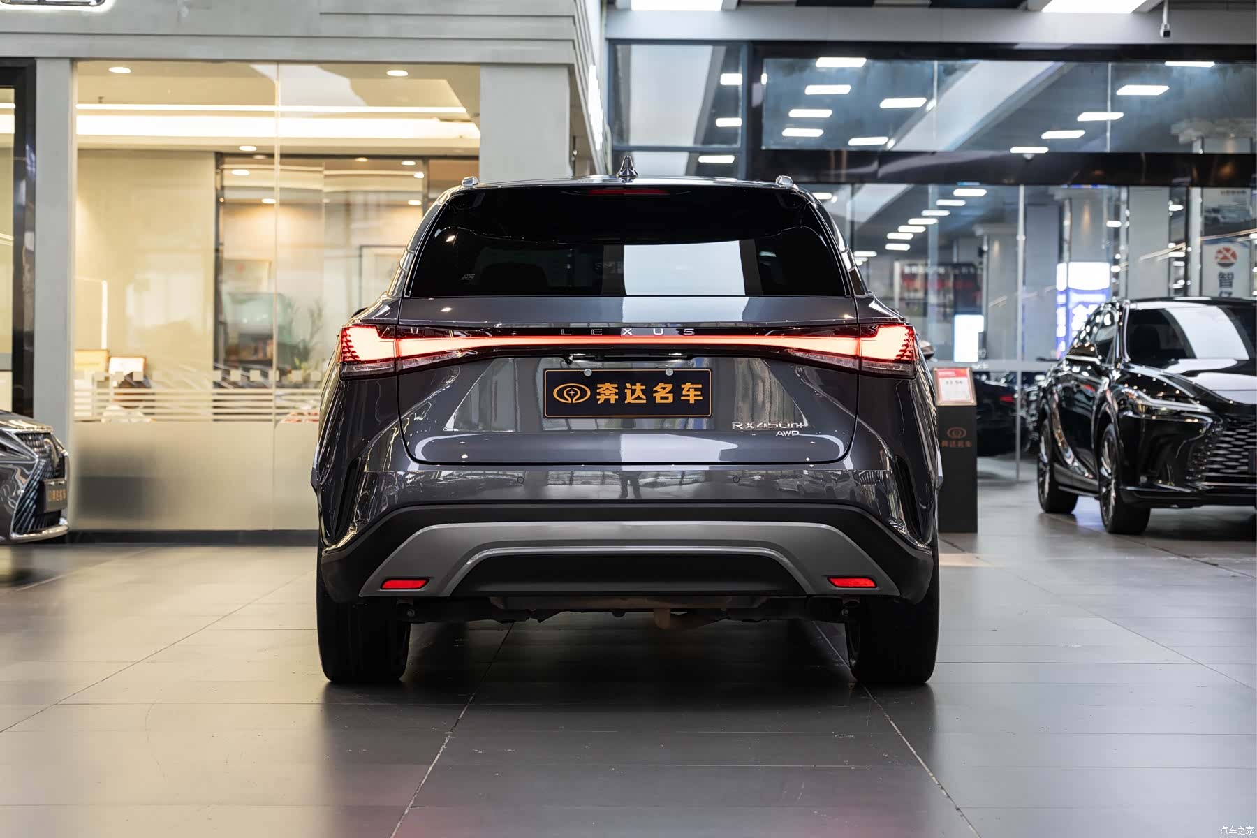Lexus RX, 2023 все фото