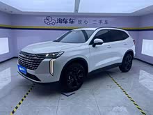 ����H6 2024�� 1.5T ����Max