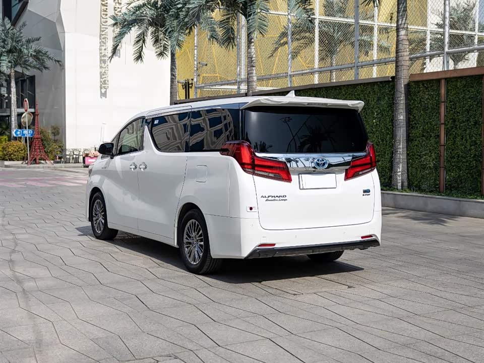 Toyota Elfa
