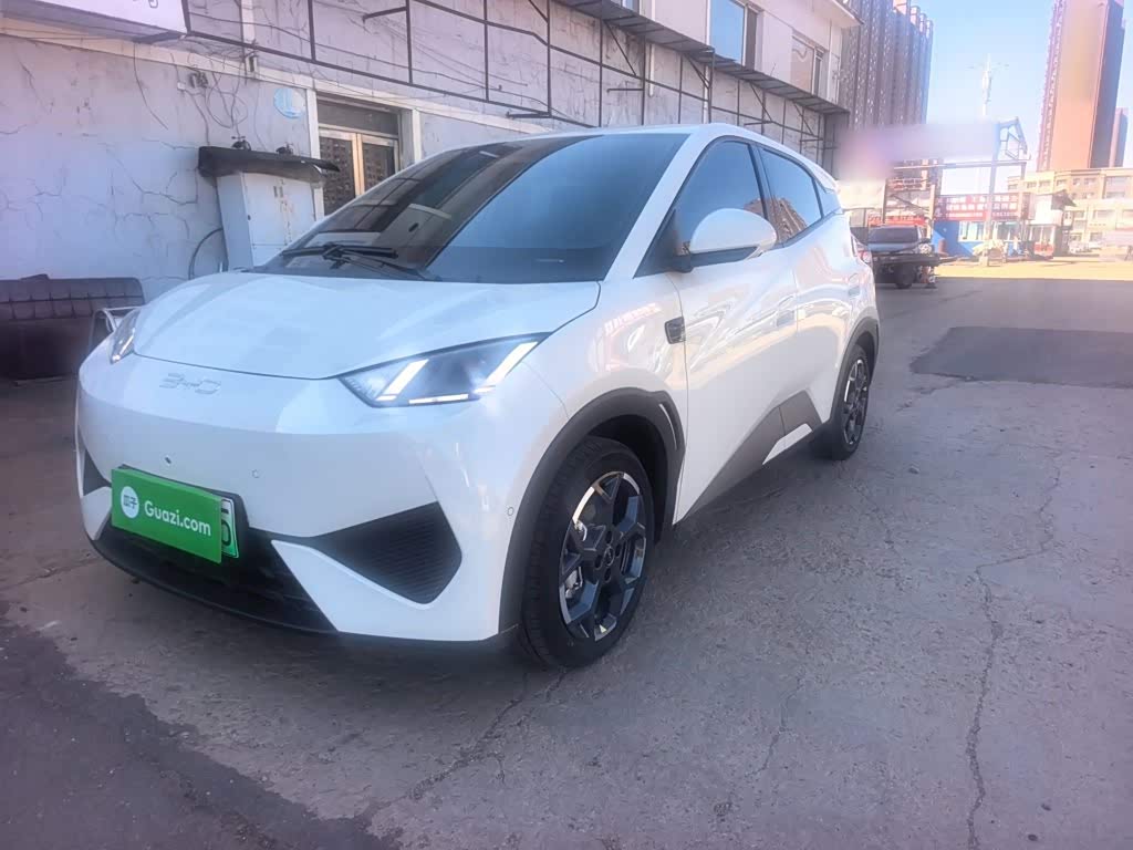 BYD Seagull