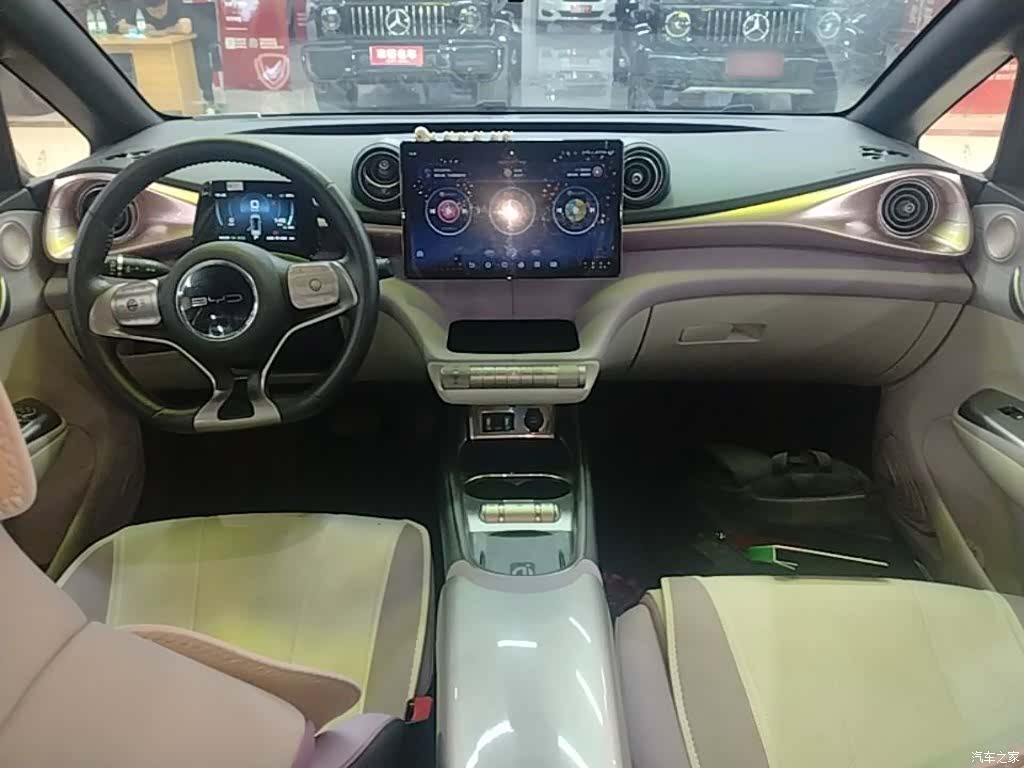 BYD Dolphin, 2022 10