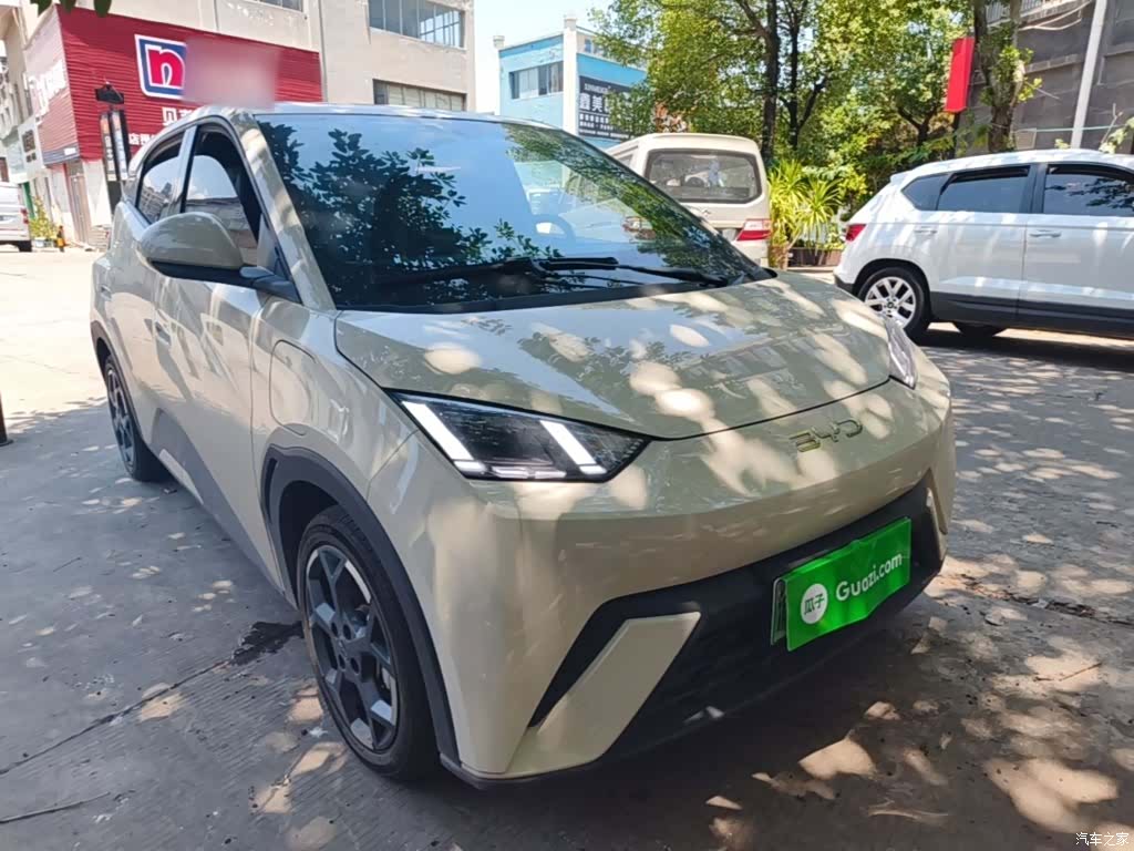 BYD Seagull, 2024 4