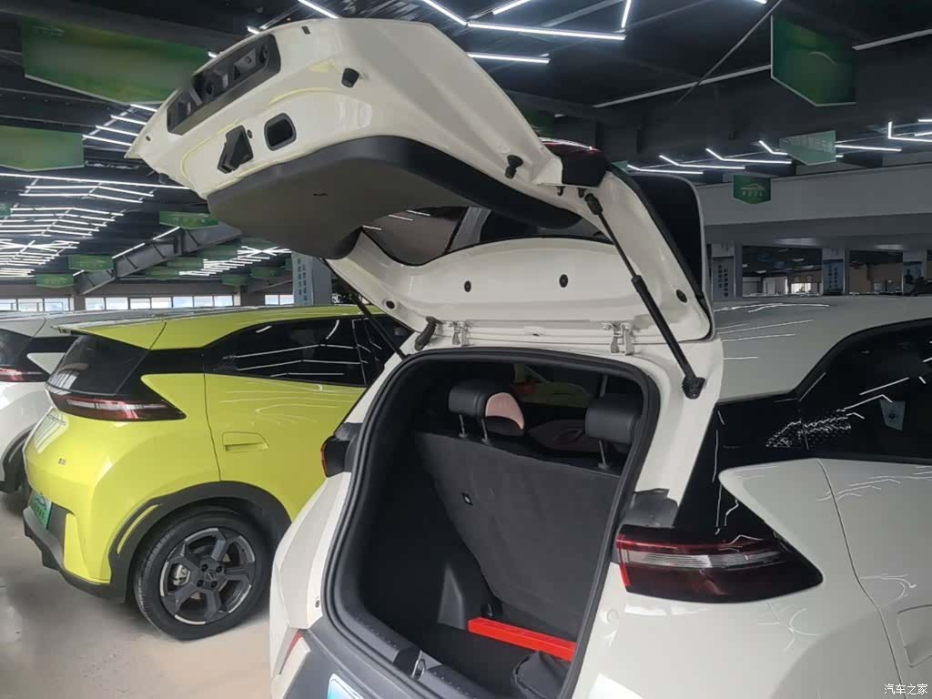 BYD Seagull, 2024 19