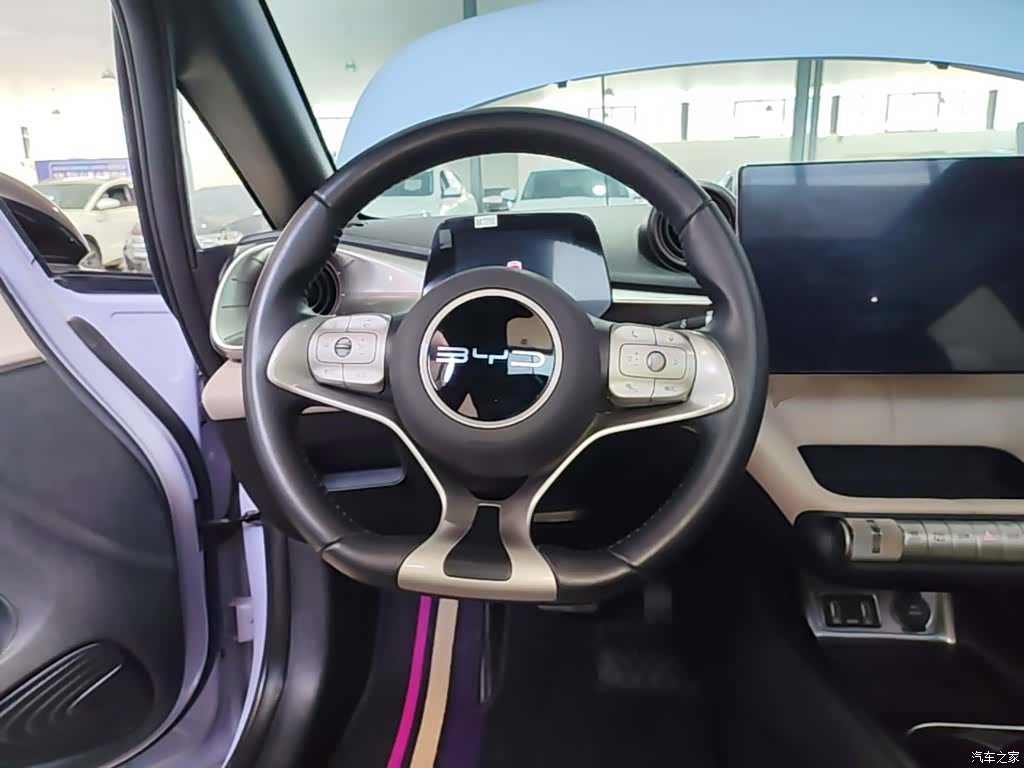 BYD Dolphin, 2023 11