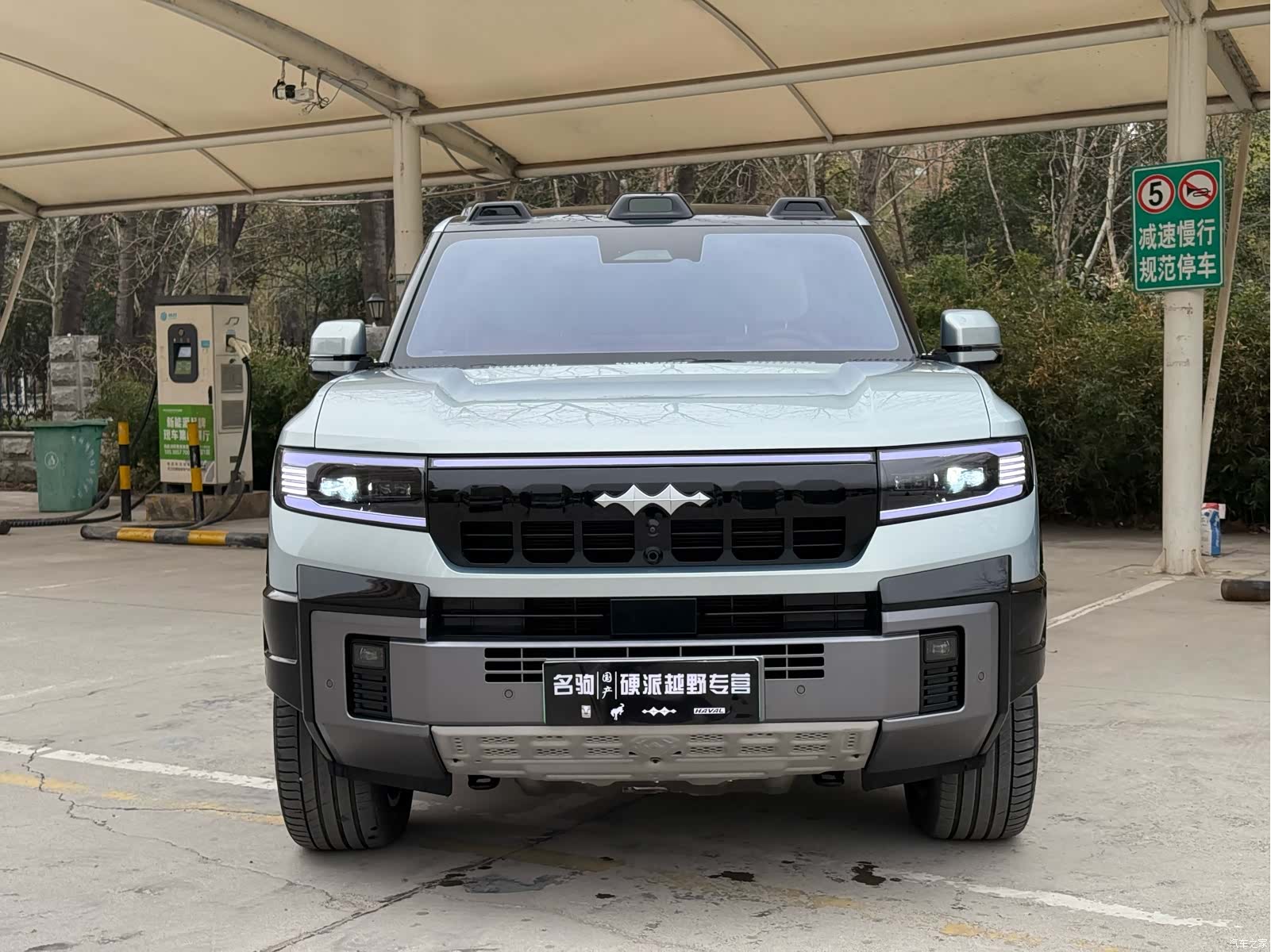 Fang Cheng Bao Bao 8, 2024 2