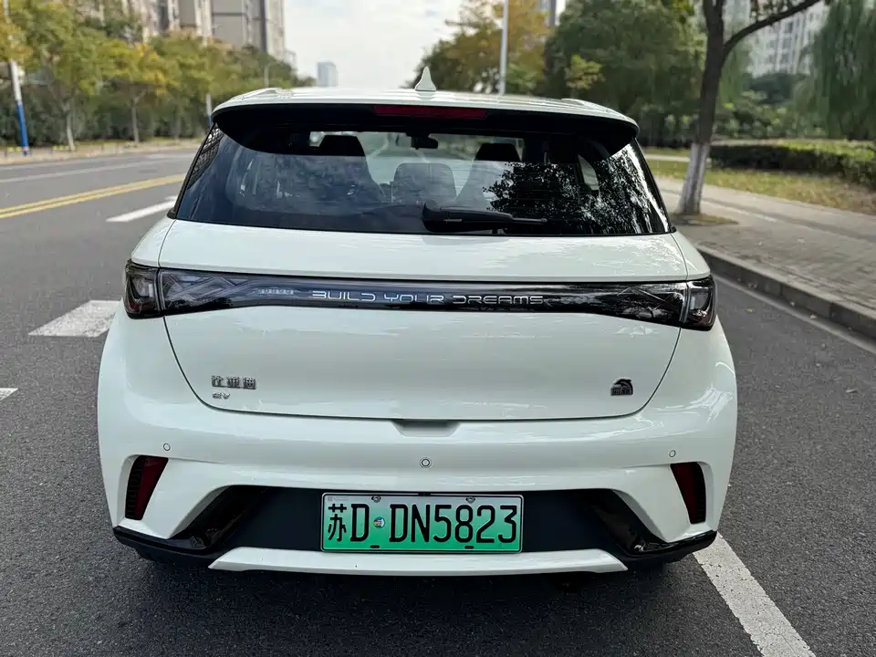 BYD dolphin
