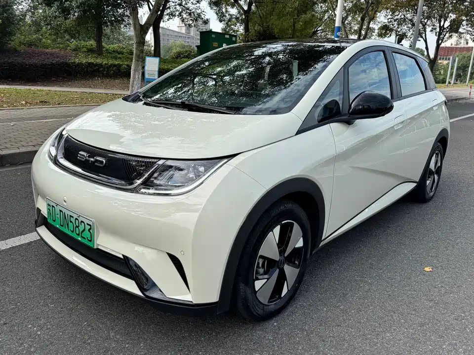 BYD dolphin